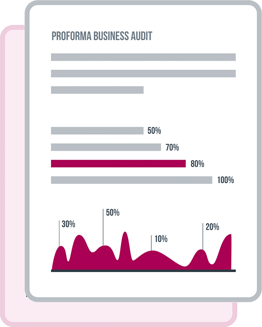 Proforma Business Audit